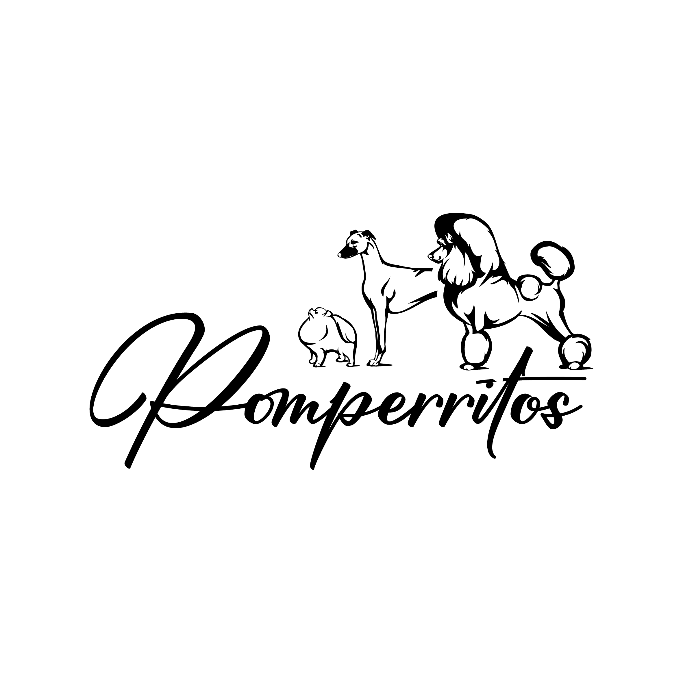 Logo salonu